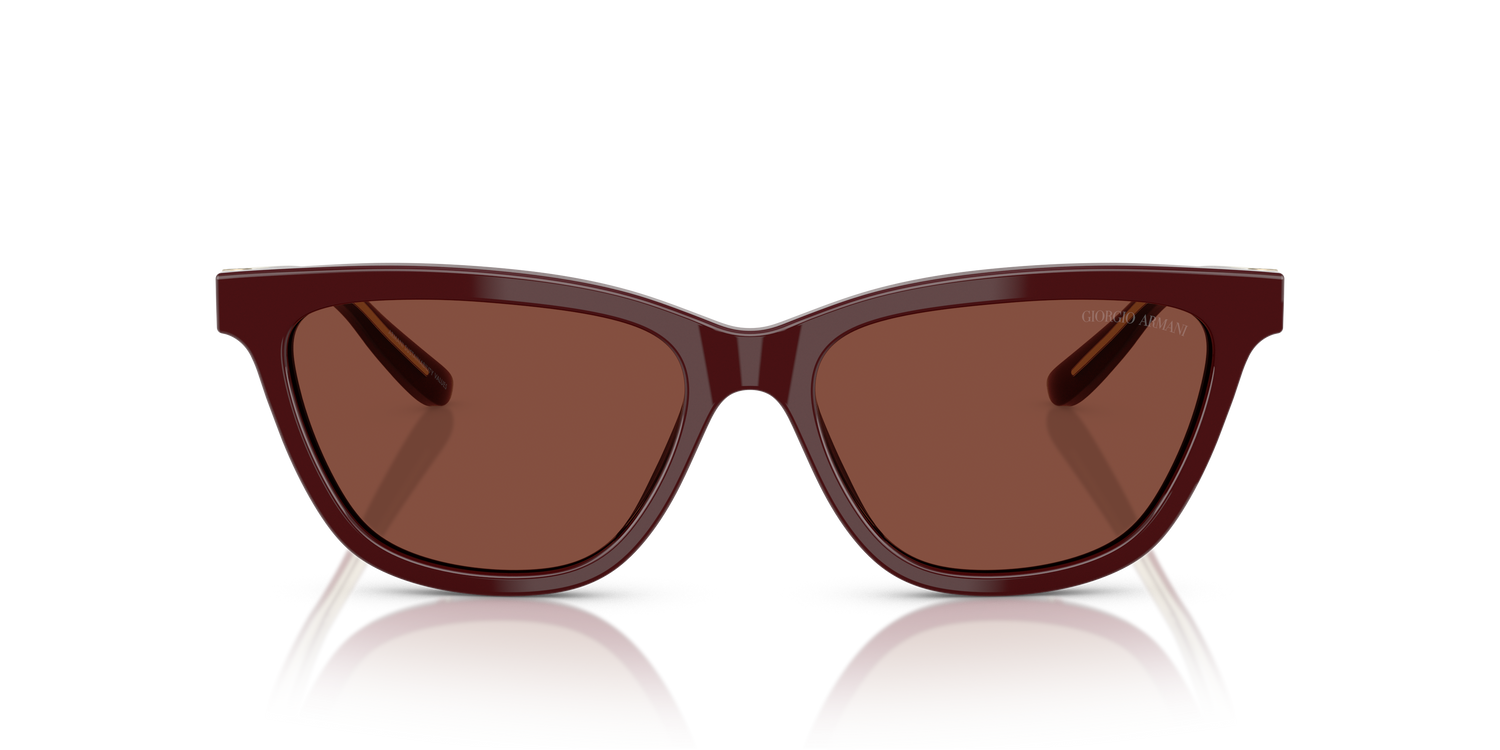 GIORGIO ARMANI AR8221 5955C5 55