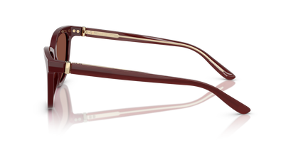 GIORGIO ARMANI AR8221 5955C5 55