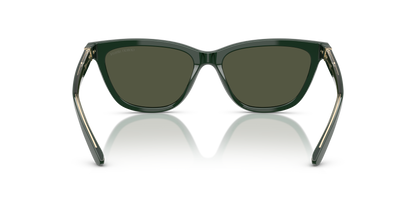 GIORGIO ARMANI AR8221 617331 55