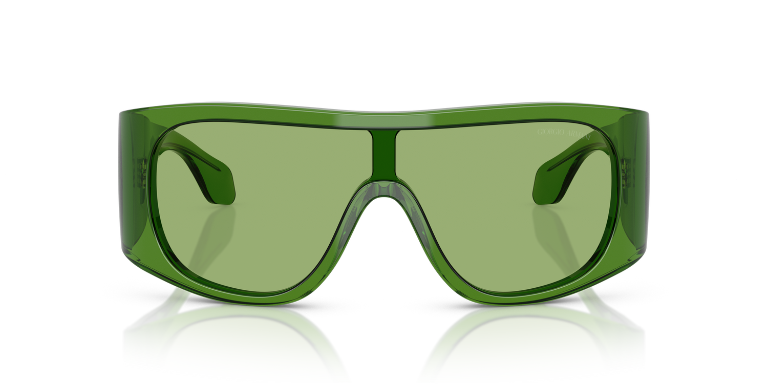 GIORGIO ARMANI AR8222U 6191/2 24