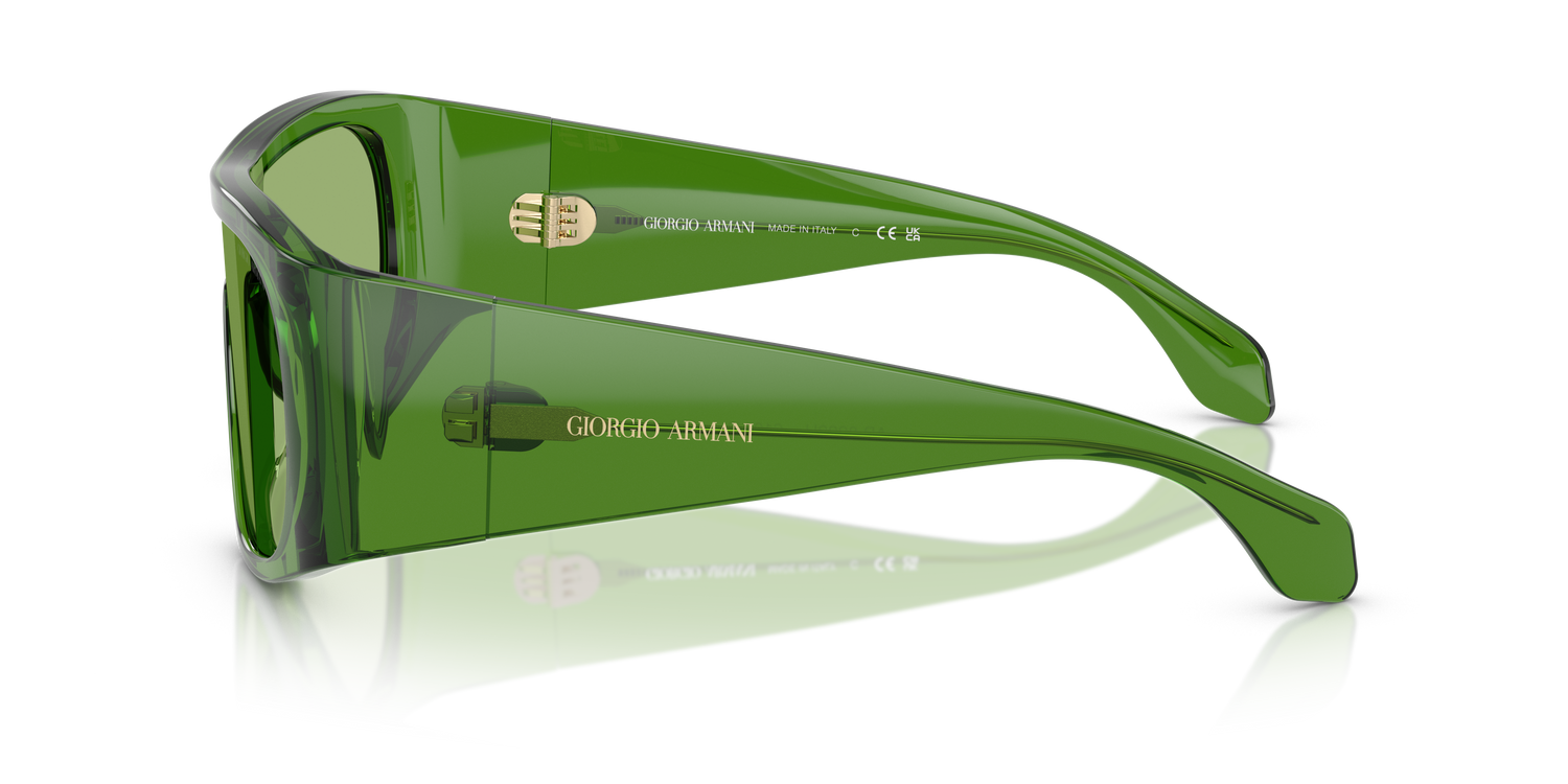 GIORGIO ARMANI AR8222U 6191/2 24