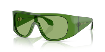 GIORGIO ARMANI AR8222U 6191/2 24