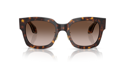 GIORGIO ARMANI AR8223 502613 51