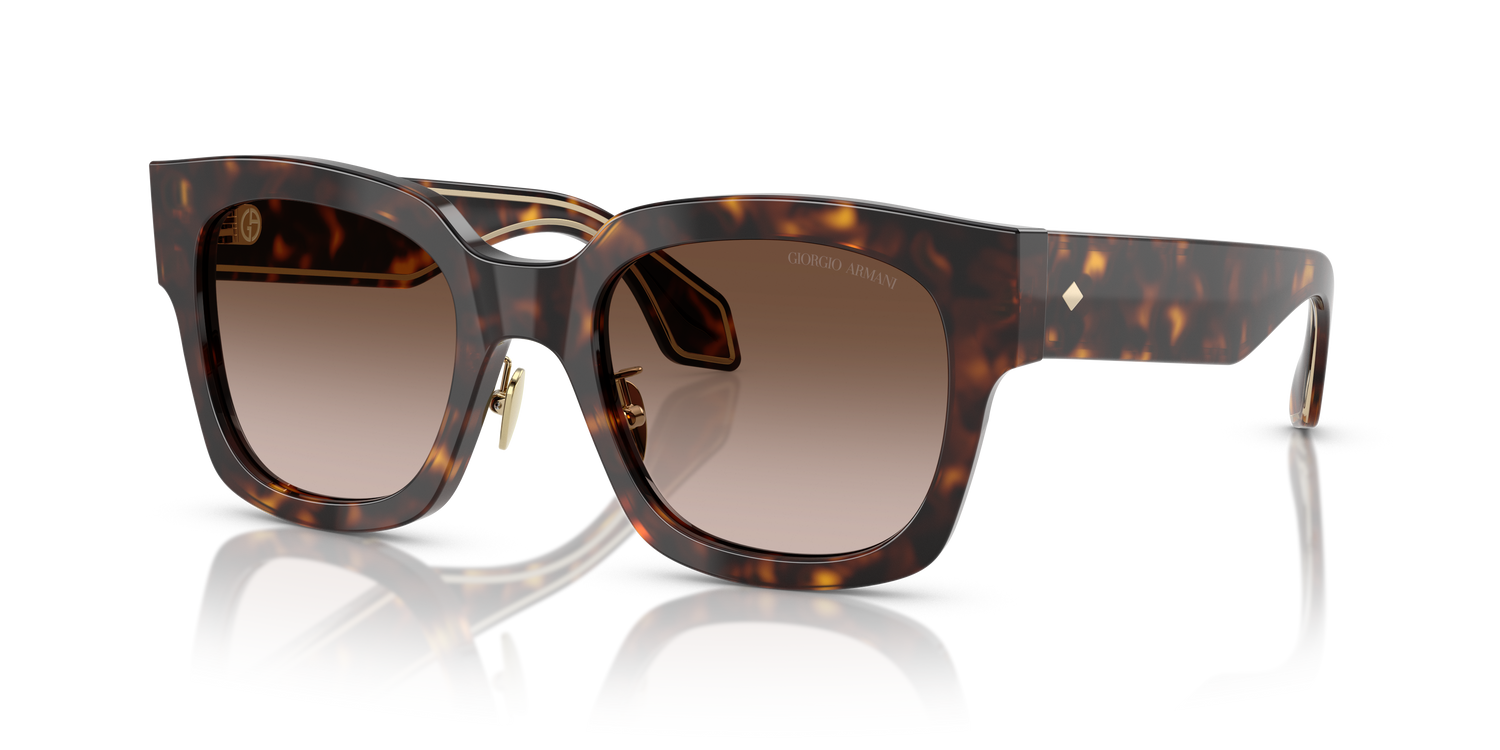 GIORGIO ARMANI AR8223 502613 51