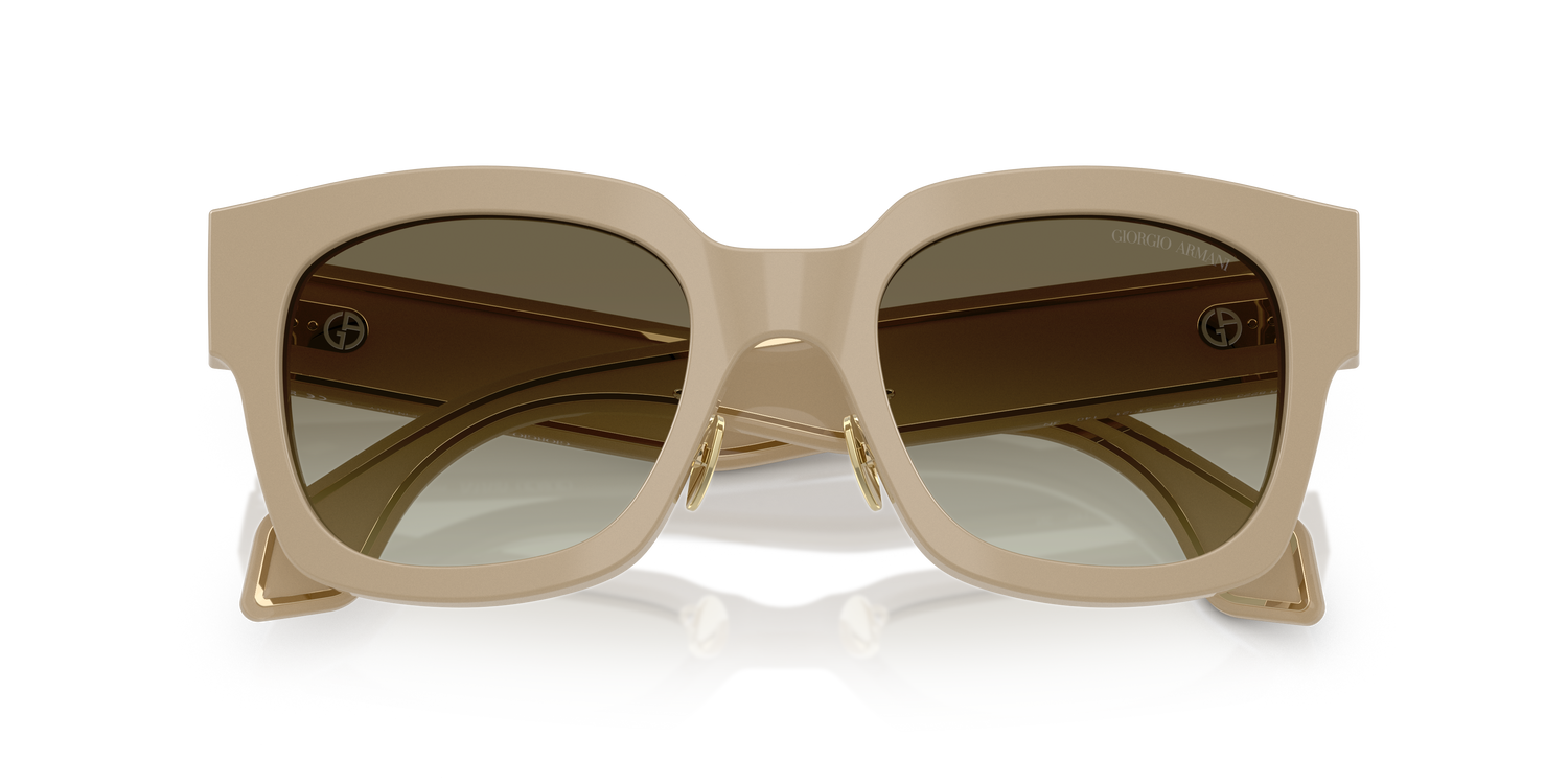 GIORGIO ARMANI AR8223 61618E 51