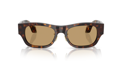 GIORGIO ARMANI AR8224 502673 52