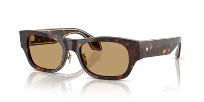 GIORGIO ARMANI AR8224 502673 52