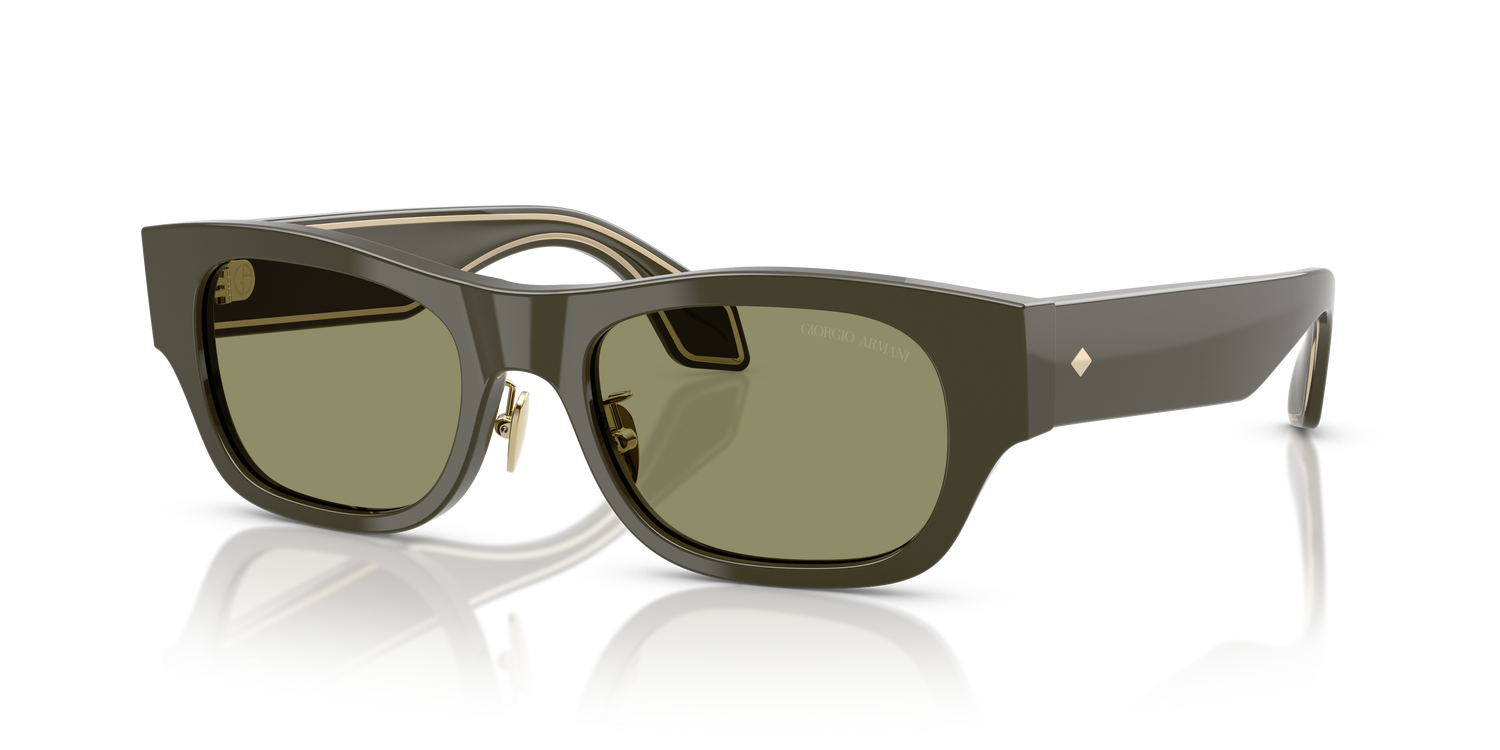 GIORGIO ARMANI AR8224 61582A 52