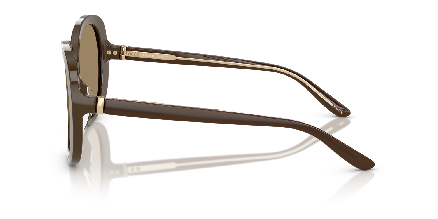 GIORGIO ARMANI AR8229U 595753 55