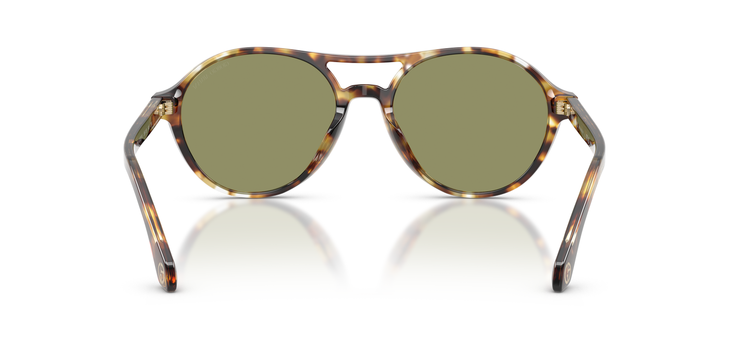 GIORGIO ARMANI AR8236U 623214 55