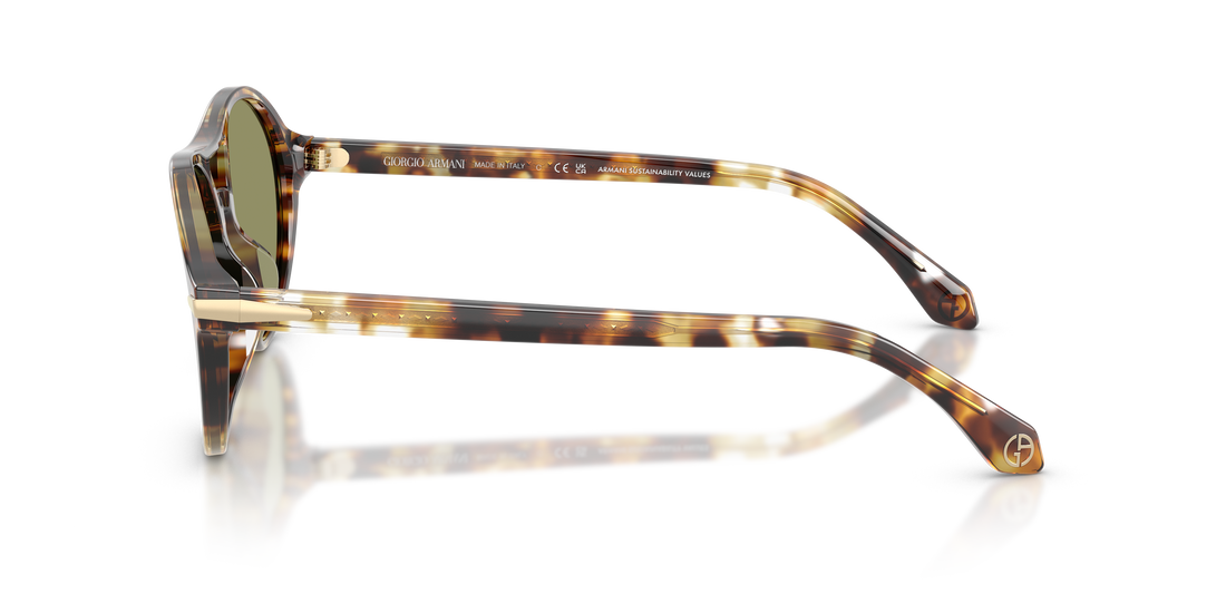 GIORGIO ARMANI AR8236U 623214 55