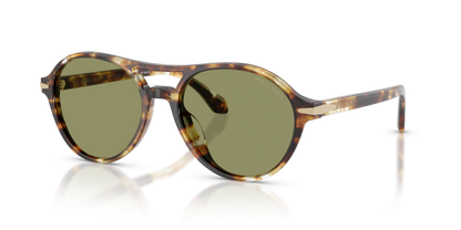 GIORGIO ARMANI AR8236U 623214 55