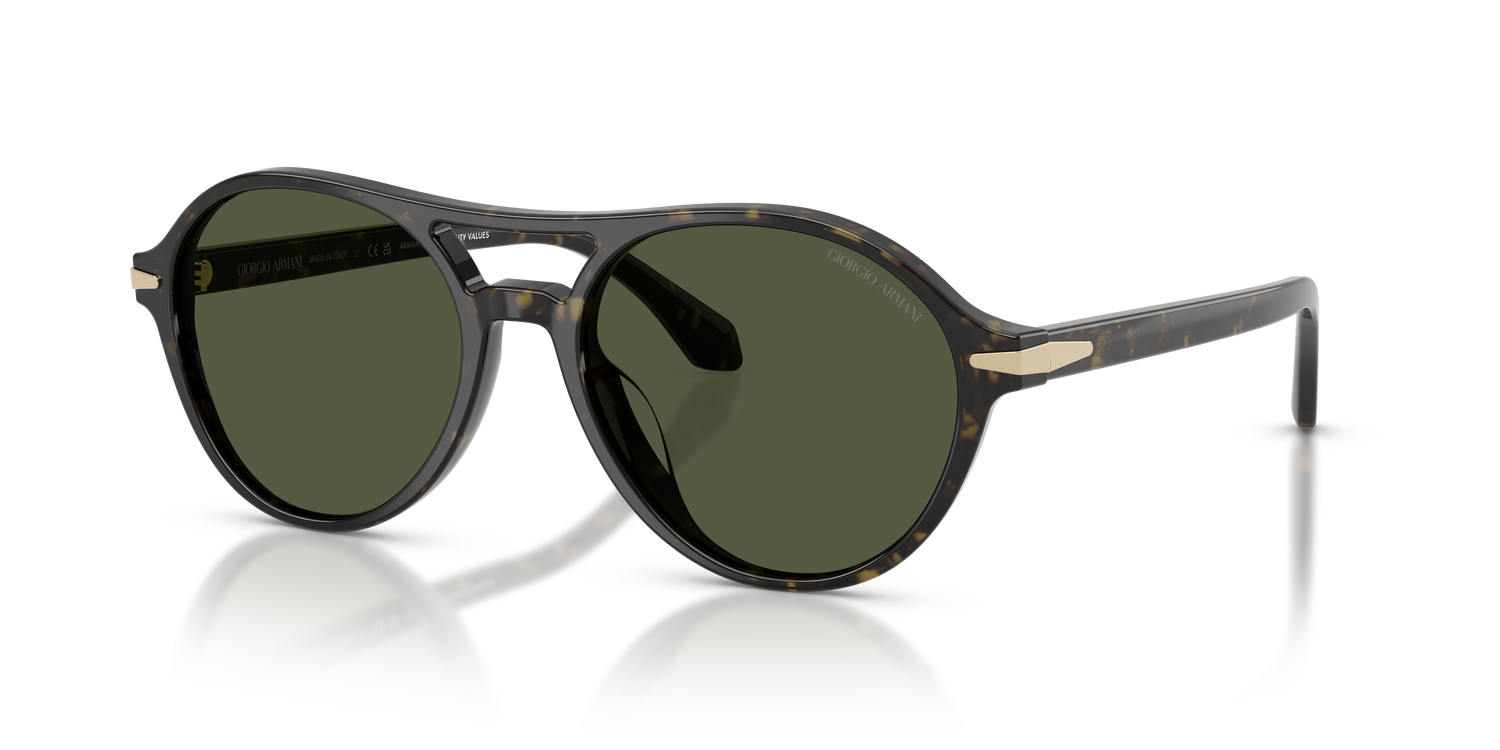 GIORGIO ARMANI AR8236U 623352 55