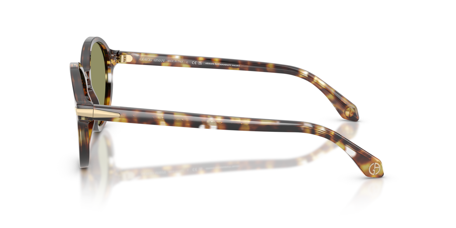 GIORGIO ARMANI AR8237 623214 53