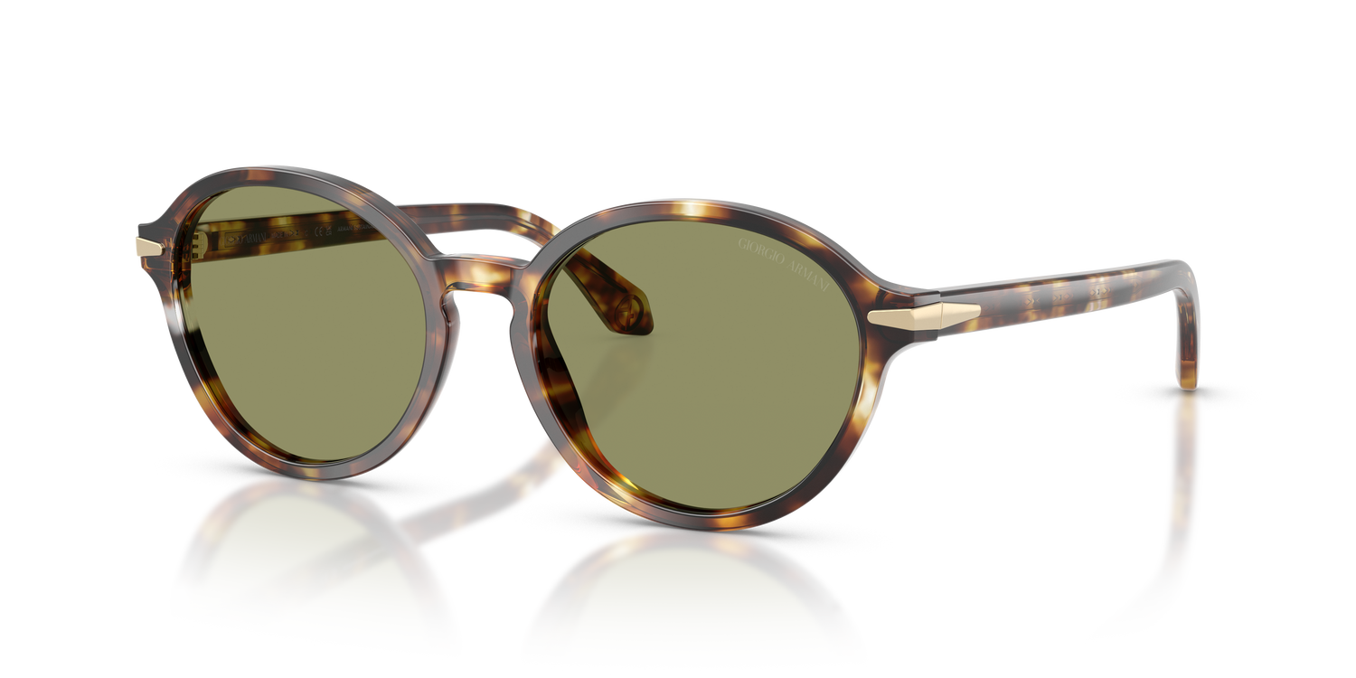 GIORGIO ARMANI AR8237 623214 53