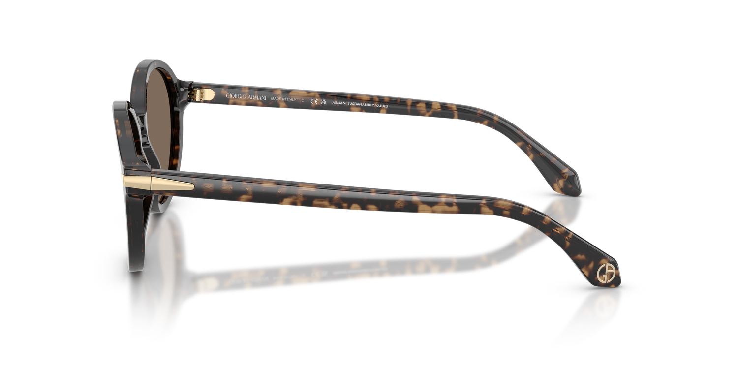 GIORGIO ARMANI AR8237 623573 53