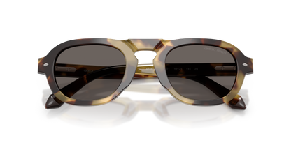 GIORGIO ARMANI AR8244 6301B1 49