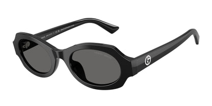 GIORGIO ARMANI AR8245HU 587587 49