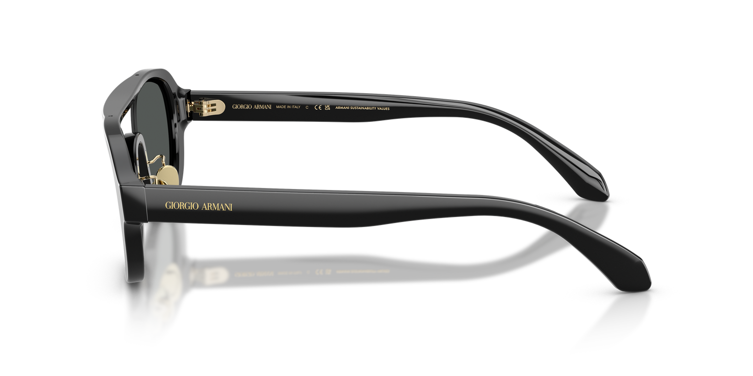 GIORGIO ARMANI AR8247 500187 48