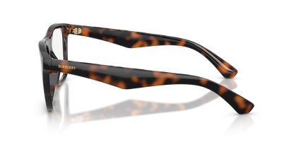 Burberry BE2432U 3002 53