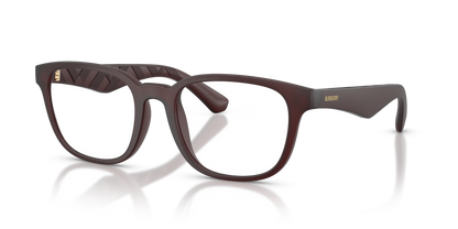 Burberry BE2433U 4171 54