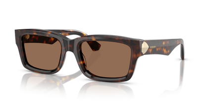 Burberry BE4443 300273 55