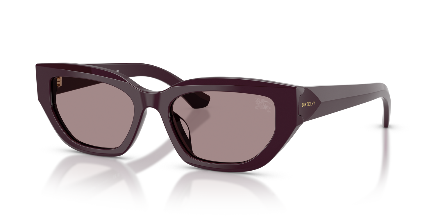 Burberry BE4463D 3400LA 54