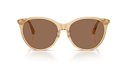 Burberry BE4464D 416773 56