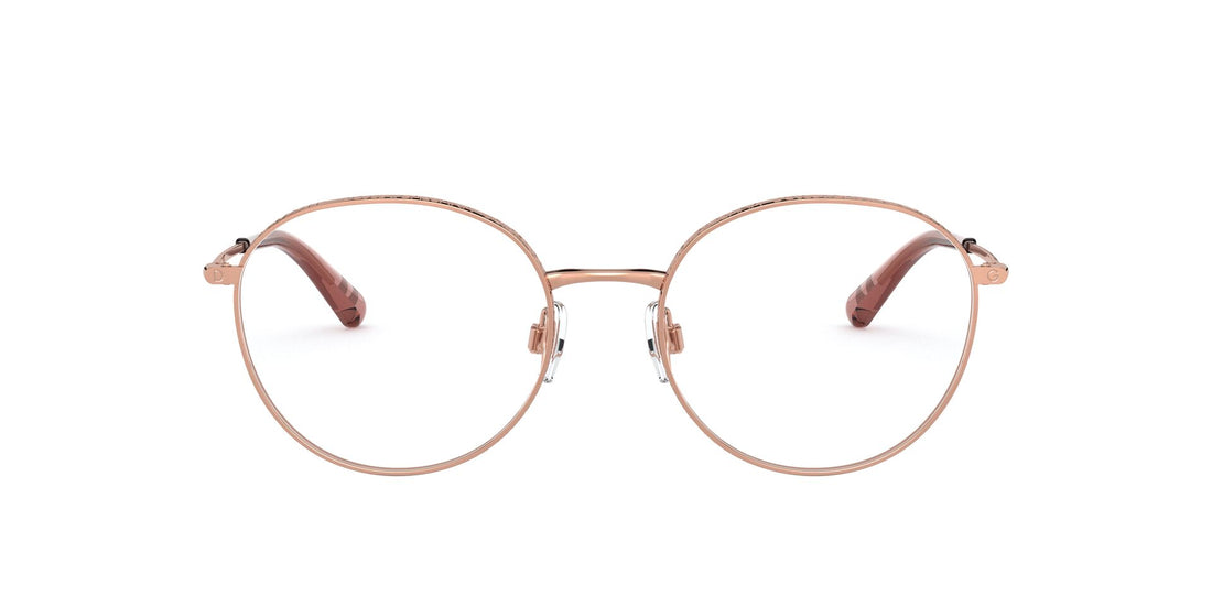 DOLCE & GABBANA DG1322 1298 53