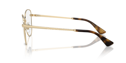 DOLCE &amp; GABBANA DG1355 1365 55