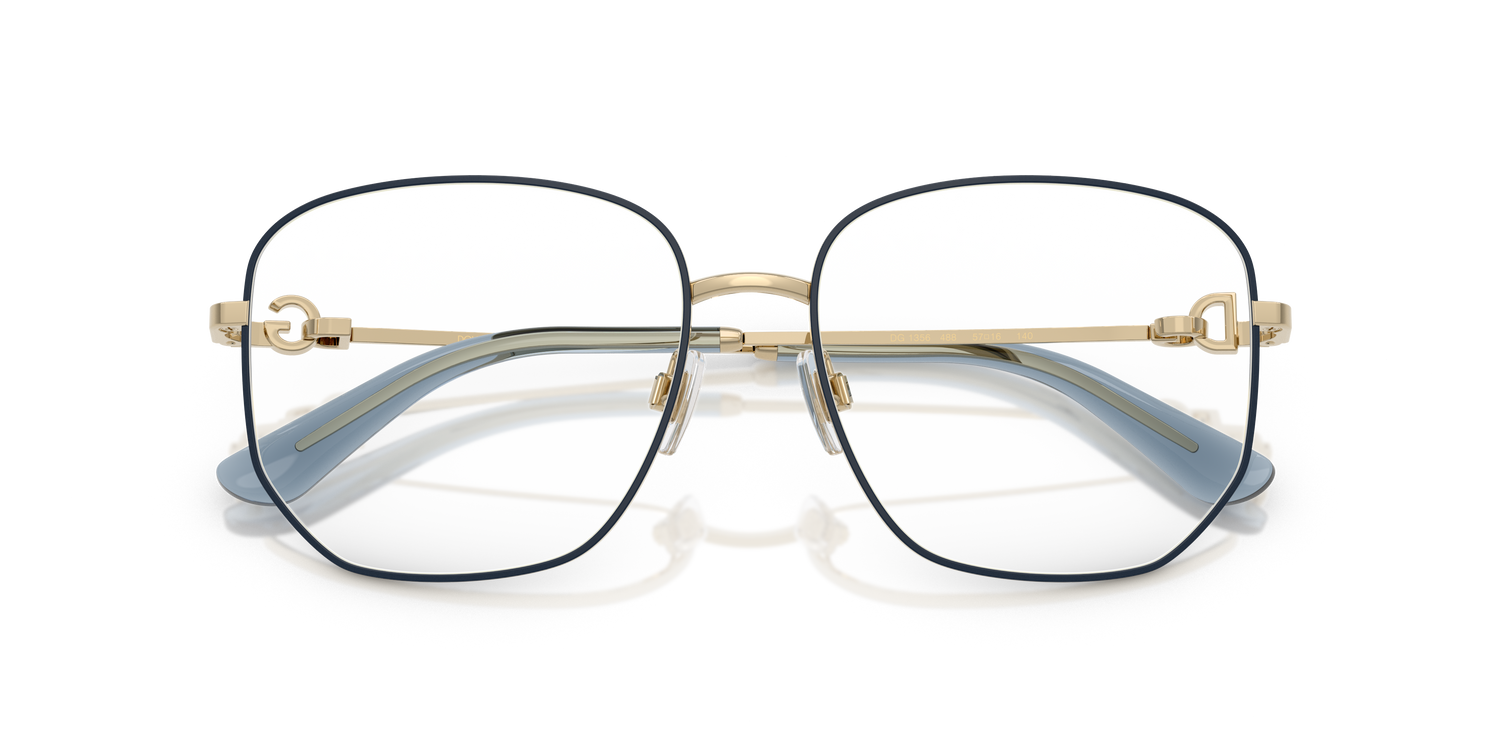 DOLCE &amp; GABBANA DG1356 488 55