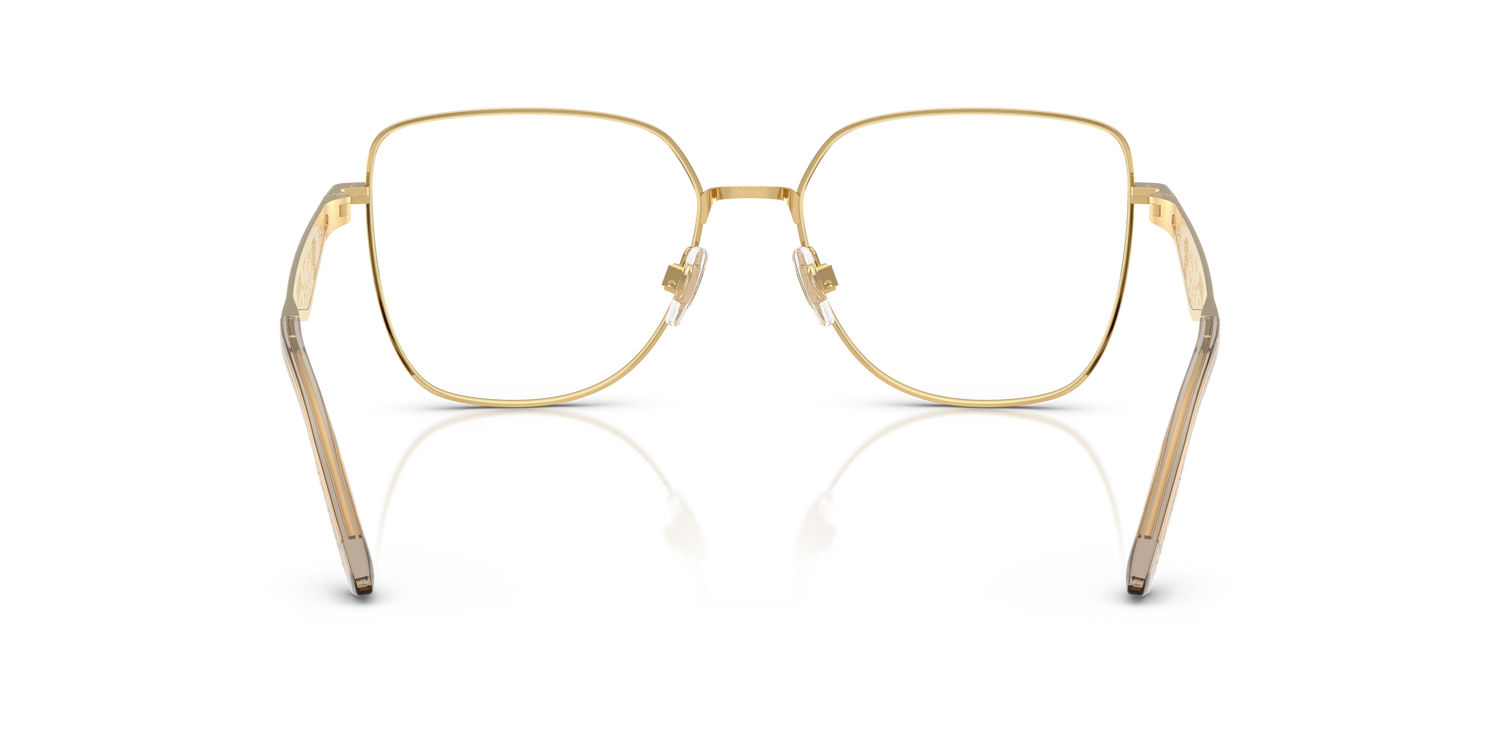 DOLCE &amp; GABBANA DG1358 1366 54