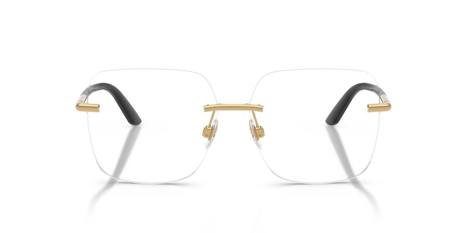 DOLCE &amp; GABBANA DG1360 02 57