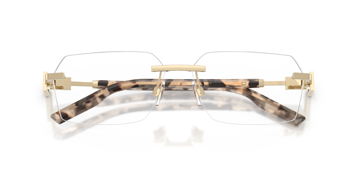 DOLCE &amp; GABBANA DG1361 488 60