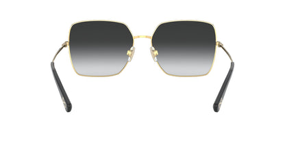 DOLCE &amp; GABBANA DG2242 13348G 57