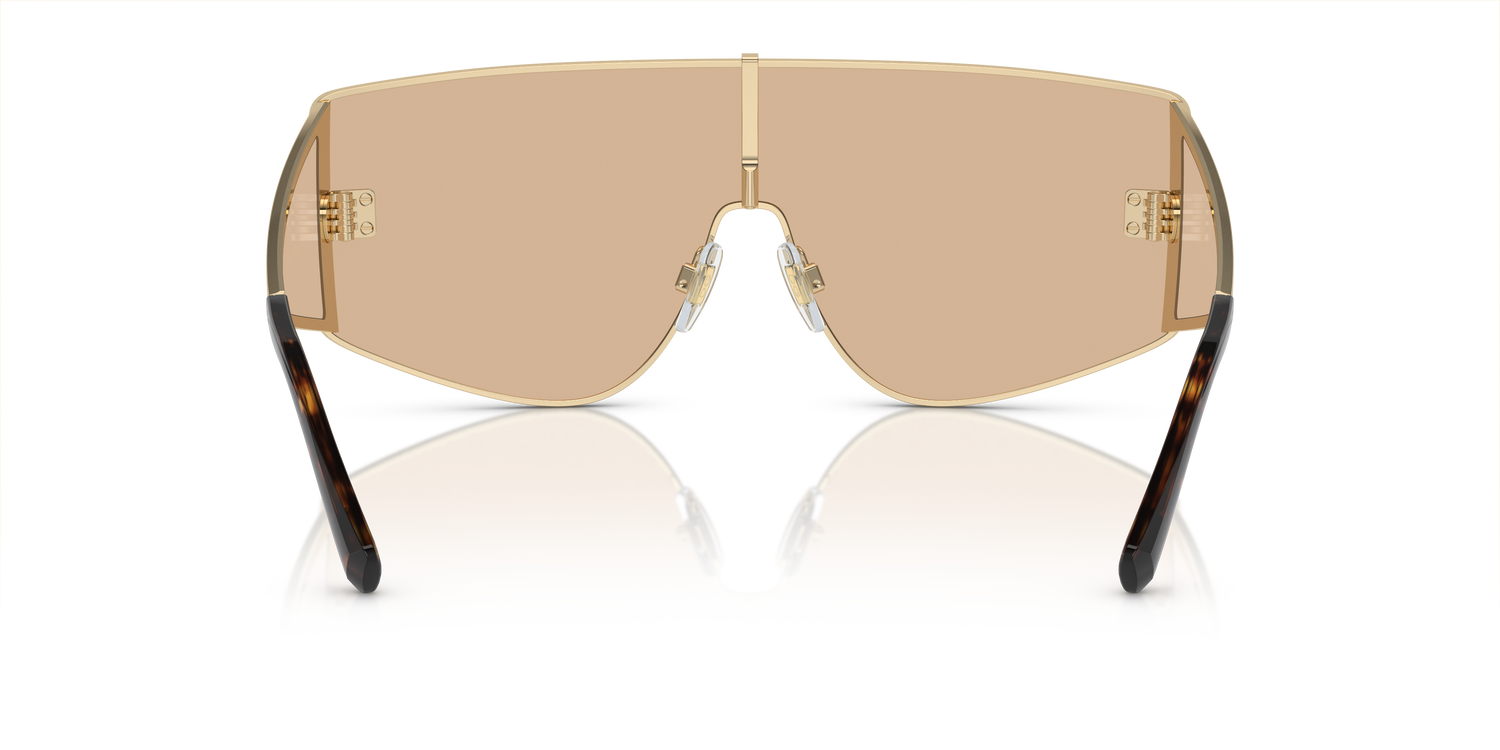 DOLCE &amp; GABBANA DG2305 13655A 44