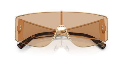 DOLCE &amp; GABBANA DG2305 13655A 44