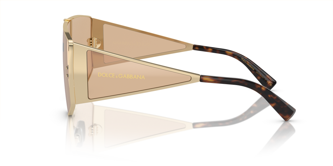 DOLCE &amp; GABBANA DG2305 13655A 44