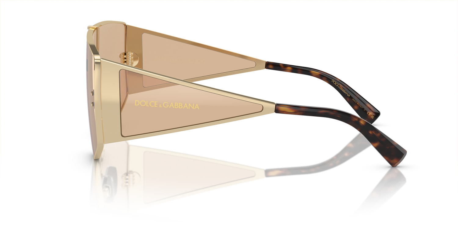 DOLCE &amp; GABBANA DG2305 13655A 44