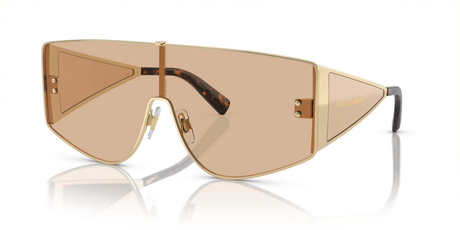 DOLCE &amp; GABBANA DG2305 13655A 44