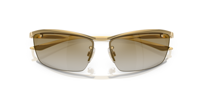 DOLCE &amp; GABBANA DG2307 02/6E 61