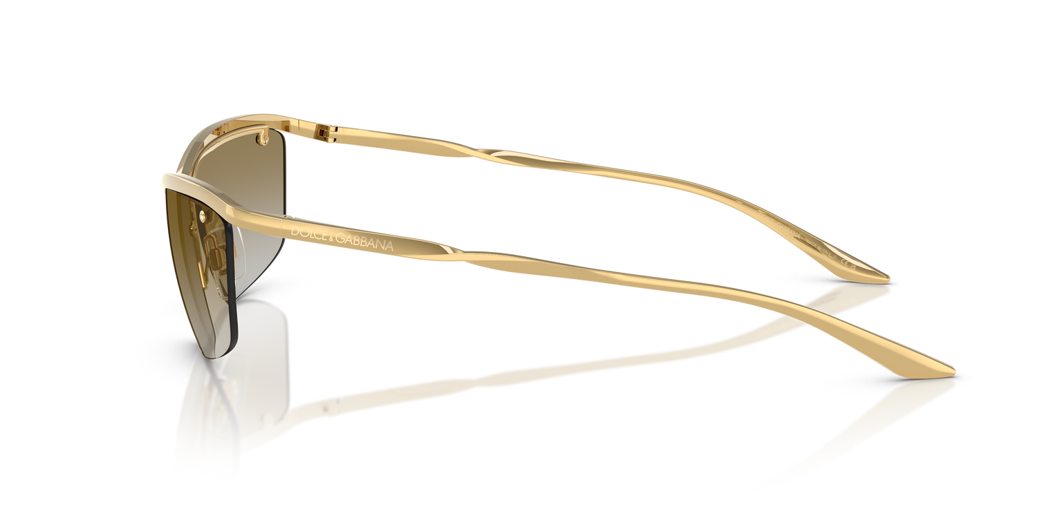 DOLCE &amp; GABBANA DG2307 02/6E 61