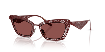 DOLCE &amp; GABBANA DG2311 131975 51