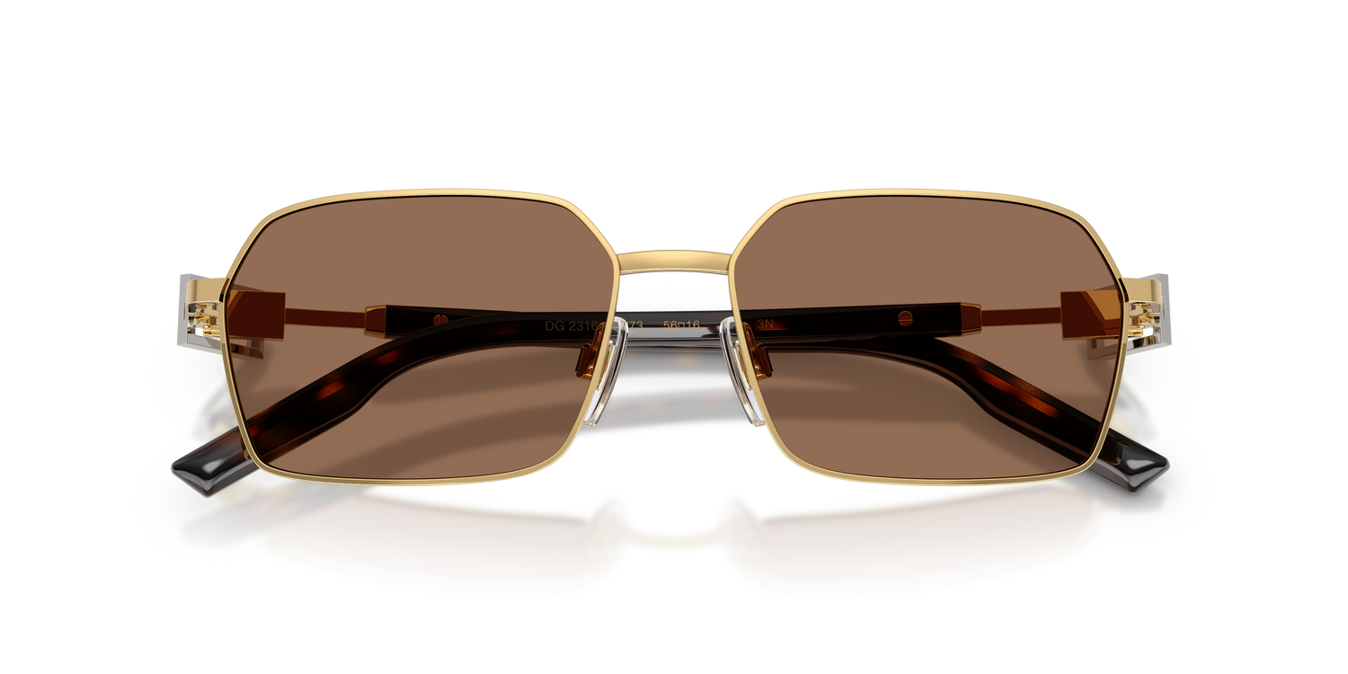 DOLCE &amp; GABBANA DG2316 02/73 56