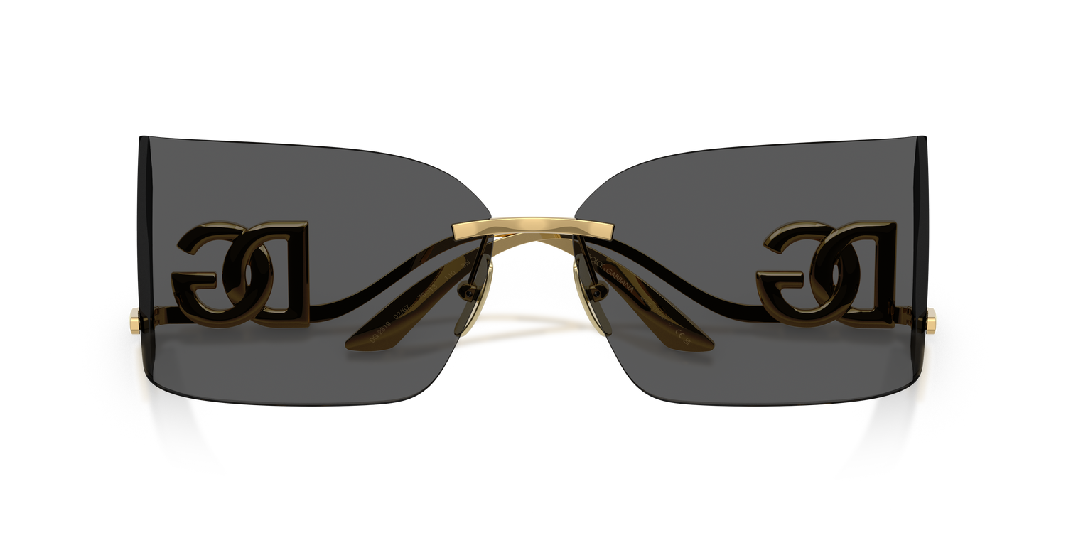 DOLCE &amp; GABBANA DG2319 02/87 79