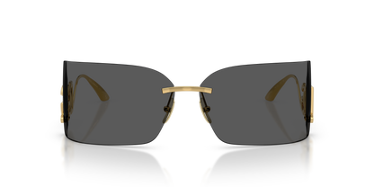 DOLCE &amp; GABBANA DG2319 02/87 79