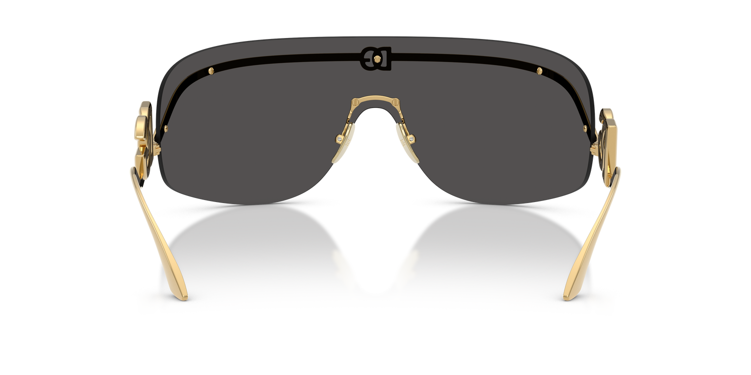 DOLCE &amp; GABBANA DG2320 02/87 40