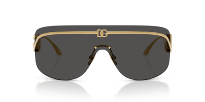 DOLCE &amp; GABBANA DG2320 02/87 40