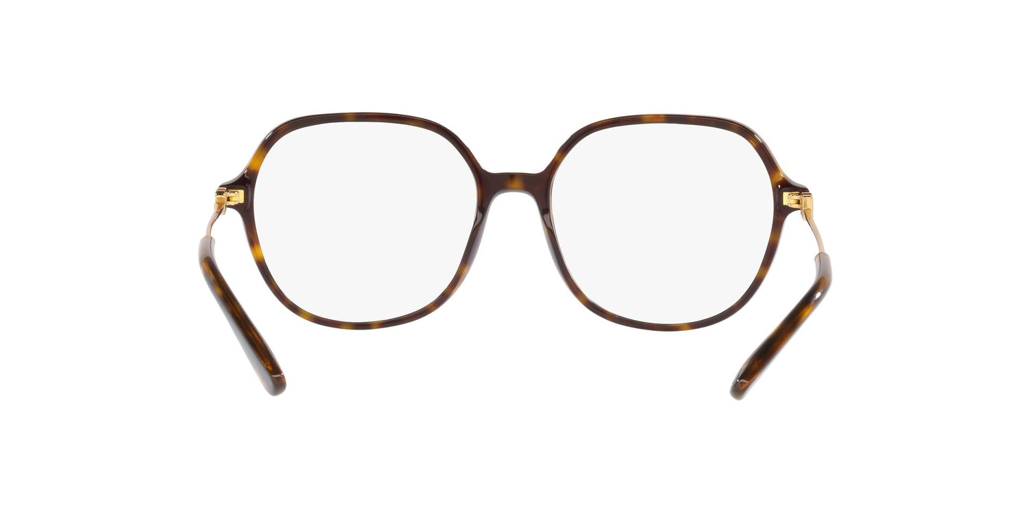 DOLCE &amp; GABBANA DG3364 502 54