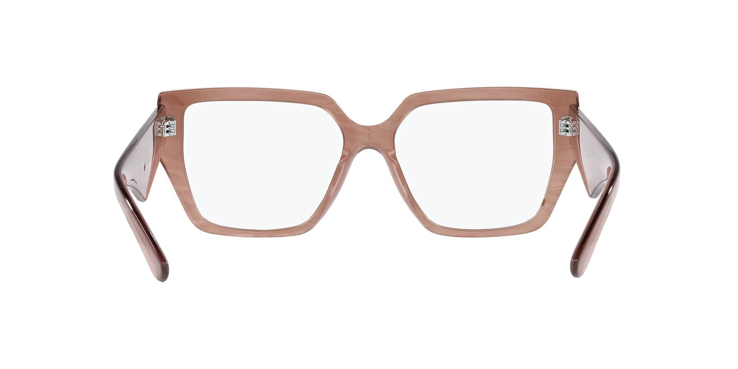 DOLCE &amp; GABBANA DG3373 3411 55